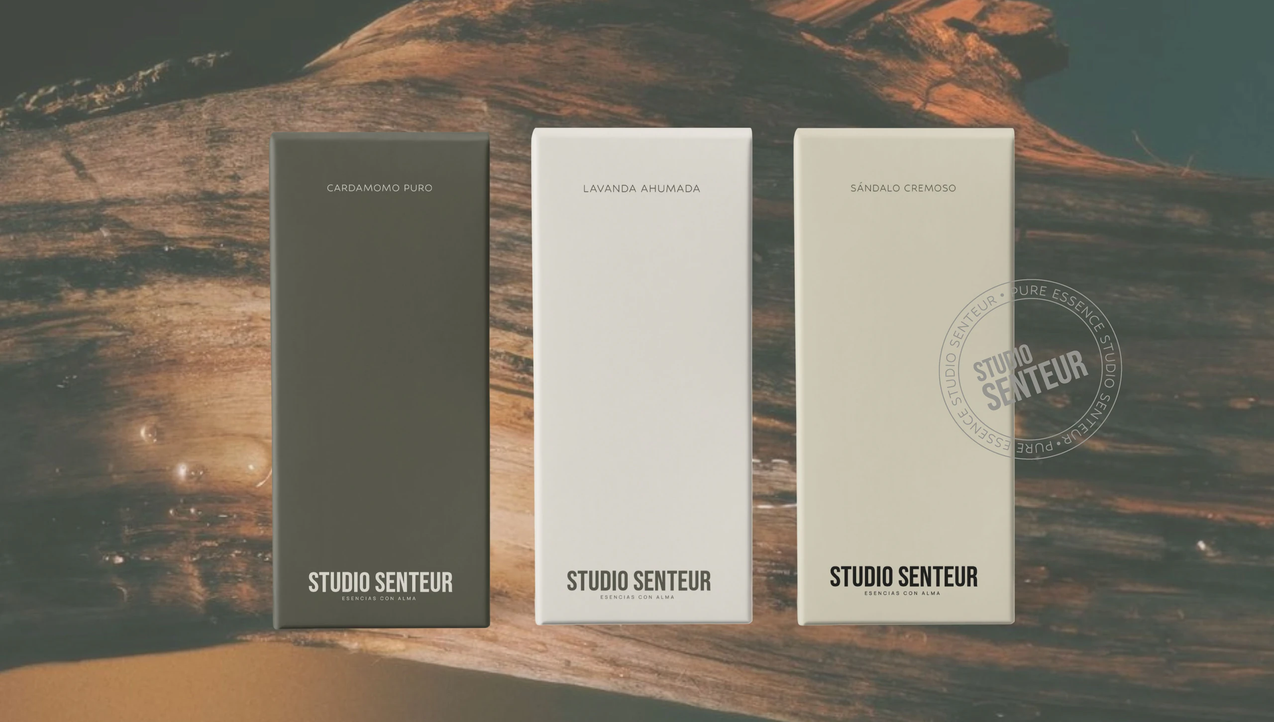 Studio Senteur - 6