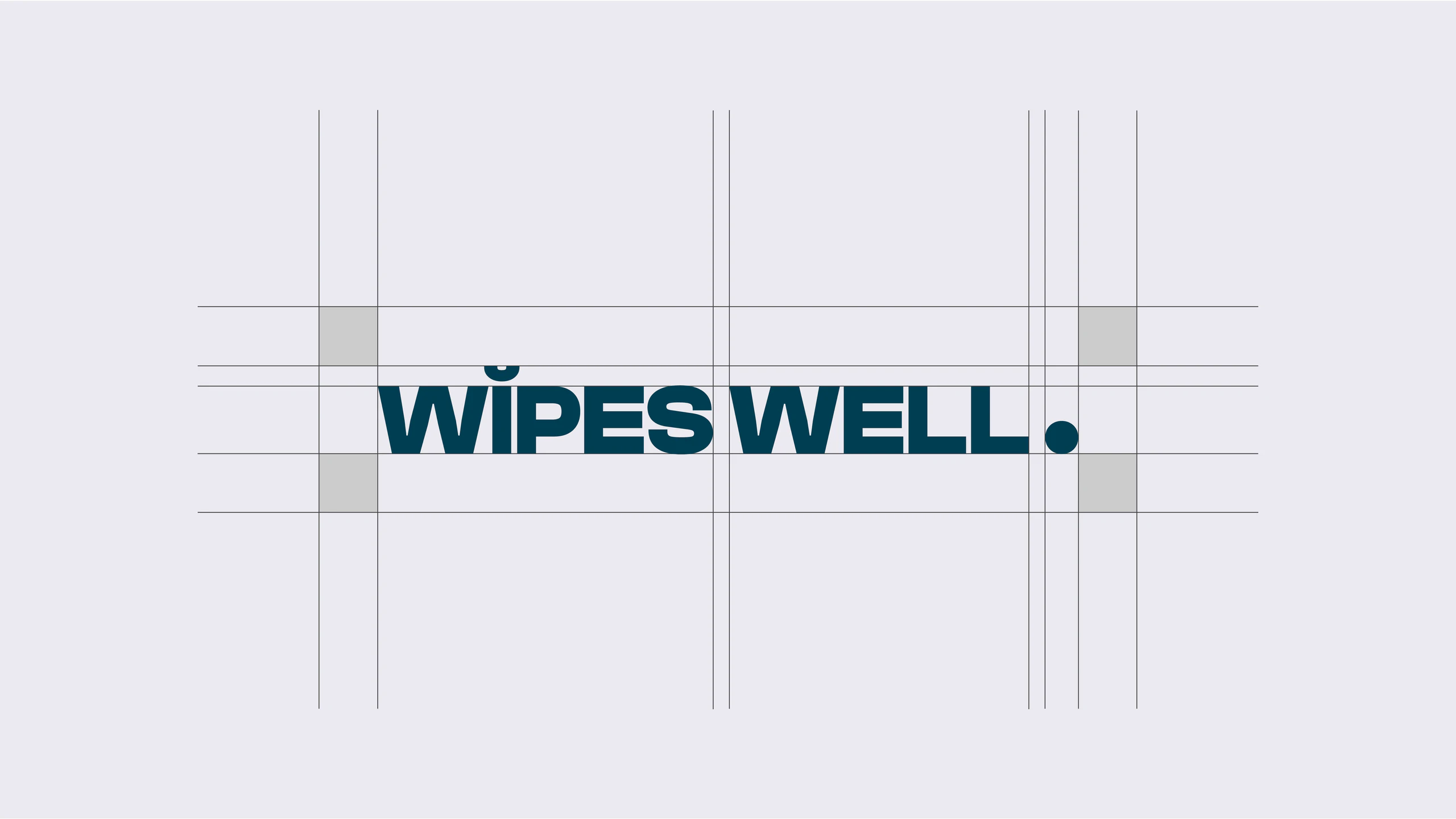 Wipes Well - 2